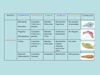 Não possuem Heterótrofos Hospedeiro Unicelular Parasitas Sporozoa Aplicomplexa Por cílios Heterótrofos Captam Alimento através dos cílios Marinho Dulcicolas Unicelular Vida livre e parasita Ciliata Por flagelos Autótrofos e heterótrofos Marinho Dulcicola Terra Unicelular Vida livre e parasita Flagelata Mastigophora Por emissão de pseudopo. Heterótrofos Fagocitose Marinho Dulcicolas Unicelular Vida livre e parasita Rhizopoda Sarcodina PROTOZOÁRIOS ILUSTRAÇÃO LOCOMOÇÃO NUTRIÇÃO HABITAT CARACRISTICAS CLASSIFICAÇÃO PROTISTA 