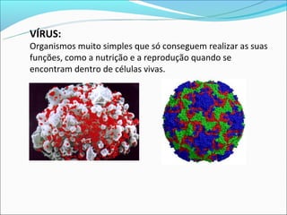 VÍRUS:
Organismos muito simples que só conseguem realizar as suas
funções, como a nutrição e a reprodução quando se
encontram dentro de células vivas.
 