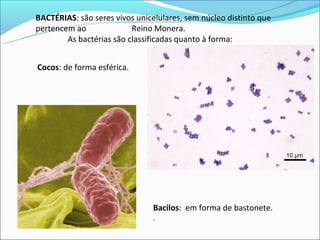 BACTÉRIAS: são seres vivos unicelulares, sem núcleo distinto que
pertencem ao              Reino Monera.
        As bactérias são classificadas quanto à forma:


Cocos: de forma esférica.




                               Bacilos: em forma de bastonete.
                               .
 