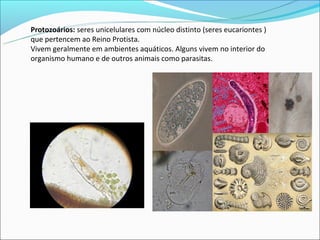Protozoários: seres unicelulares com núcleo distinto (seres eucariontes )
que pertencem ao Reino Protista.
Vivem geralmente em ambientes aquáticos. Alguns vivem no interior do
organismo humano e de outros animais como parasitas.
 