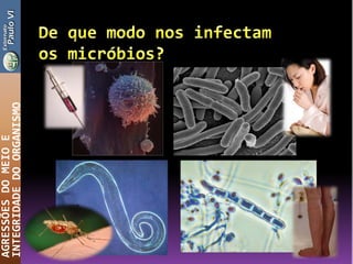 AGRESSÕESDOMEIOE
INTEGRIDADEDOORGANISMO
 