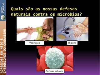 AGRESSÕESDOMEIOE
INTEGRIDADEDOORGANISMO
Vacinação Higiene
Defesas naturais
 