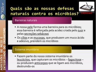 CADERNO
AGRESSÕESDOMEIOE
INTEGRIDADEDOORGANISMO
• A nossa pele forma uma barreira para os micróbios;
essa barreira é reforçada pela acidez criada pelo suor e
pelas secreções sebáceas
• Os cílios e as mucosas, que produzem um muco ácido
e adesivo, prendem os micróbios
Barreiras naturais
• Fazem parte do nosso sistema imunitário os
leucócitos, que capturam os micróbios – fagocitose –
ou produzem anticorpos que se ligam aos micróbios,
destruindo-os
Sistema imunitário
 