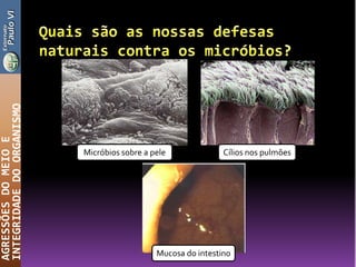 AGRESSÕESDOMEIOE
INTEGRIDADEDOORGANISMO
Micróbios sobre a pele Cílios nos pulmões
Mucosa do intestino
 