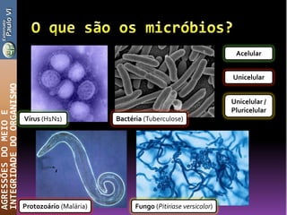 AGRESSÕESDOMEIOE
INTEGRIDADEDOORGANISMO
Vírus (H1N1) Bactéria (Tuberculose)
Protozoário (Malária) Fungo (Pitiriase versicolor)
Unicelular
Unicelular /
Pluricelular
Acelular
 