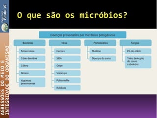 AGRESSÕESDOMEIOE
INTEGRIDADEDOORGANISMO
 