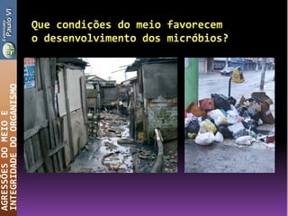 AGRESSÕESDOMEIOE
INTEGRIDADEDOORGANISMO
 