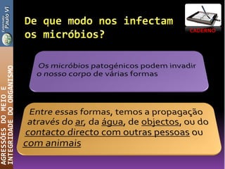 CADERNO
AGRESSÕESDOMEIOE
INTEGRIDADEDOORGANISMO
 