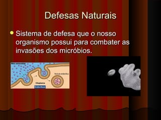 Defesas NaturaisDefesas Naturais
Sistema de defesa que o nossoSistema de defesa que o nosso
organismo possui para combater asorganismo possui para combater as
invasões dos micróbios.invasões dos micróbios.
 