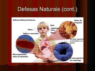Defesas Naturais (cont.)Defesas Naturais (cont.)
 