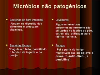 Micróbios não patogénicos
 Bactérias da flora intestinalBactérias da flora intestinal
Ajudam na digestão dos
alimentos e produzem
vitaminas.
 LevedurasLeveduras
Algumas leveduras
presentes no fermento são
utilizadas no fabrico do pão,
outras são utilizadas para
fabricar cerveja.
 Bactérias lácteasBactérias lácteas
Coagulam o leite, permitindo
o fabrico de iogurte e de
queijo.
 FungosFungos
Foi a partir do fungo
Penicillium que se obteve o
primeiro antibiótico ( a
penicilina).
 