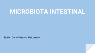 MICROBIOTA INTESTINAL
Rubén Darío Valencia Maldonado
 