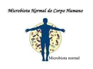 Microbiota normal
 