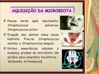 AQUISIÇÃO DA MICROBIOTAAQUISIÇÃO DA MICROBIOTA
Poucas horas após nascimento:
Streptococcus salivarius,
Streptococcus mitior;
Erupção dos dentes induz novos
habitats. Fixa-se Streptococcus
mutans e Streptococcus sanguis;
Nichos anaeróbicos induzem a
mudança gradual da microbiota (de
aeróbia para anaeróbia facultativa –
Veillonella, Actinomyces)
 
