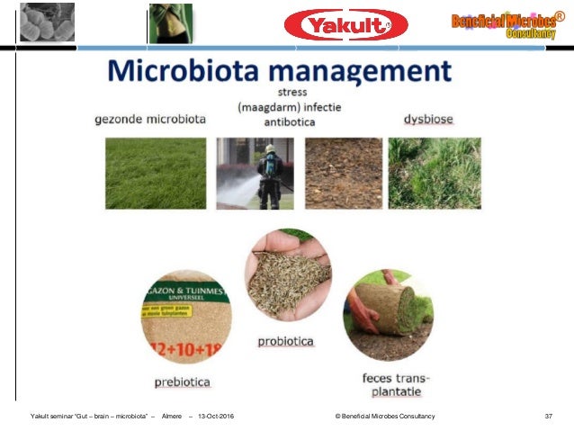 of yakult composition gedrag Microbiota en