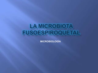 MICROBIOLOGÍA

 