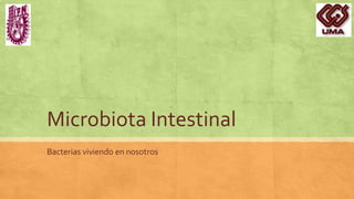Microbiota Intestinal
Bacterias viviendo en nosotros
 