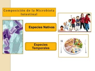 Conferencia: Microbiota Intestinal, un mundo por descubrir. Nutrición y ...