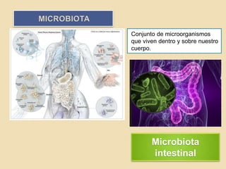 Microbiota
intestinal
MICROBIOTA
Conjunto de microorganismos
que viven dentro y sobre nuestro
cuerpo.
 