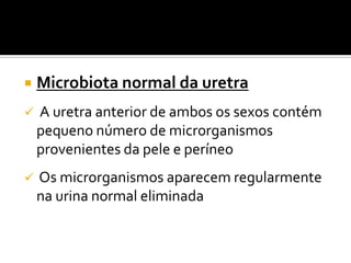    Microbiota normal da uretra
   A uretra anterior de ambos os sexos contém
    pequeno número de microrganismos
    provenientes da pele e períneo
   Os microrganismos aparecem regularmente
    na urina normal eliminada
 