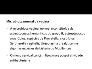 Microbiota normal da vagina

   A microbiota vaginal normal é constituída de
    estreptococos hemolíticos do grupo B, estreptococos
    anaeróbios, espécies de Provetella, clostrídios,
    Gardnerella vaginalis, Ureaplasma urealyticum e
    algumas espécies de Listeria ou Mobiluncus

   O muco cervical contém lisozima e possui atividade
    antibacteriana
 