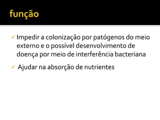  Impedir a colonização por patógenos do meio
    externo e o possível desenvolvimento de
    doença por meio de interferência bacteriana
   Ajudar na absorção de nutrientes
 