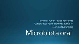 Microbiota oral