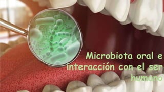 Microbiota oral e
interacción con el ser
humano
 
