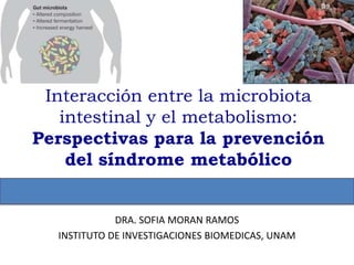 Interacción entre la microbiota
intestinal y el metabolismo:
Perspectivas para la prevención
del síndrome metabólico
DRA. SOFIA MORAN RAMOS
INSTITUTO DE INVESTIGACIONES BIOMEDICAS, UNAM
 