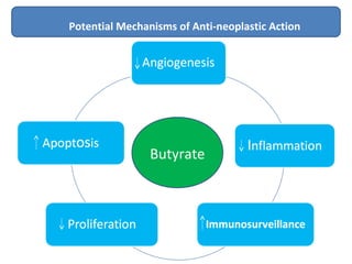 Butyrate
Potential Mechanisms of Anti-neoplastic Action
 