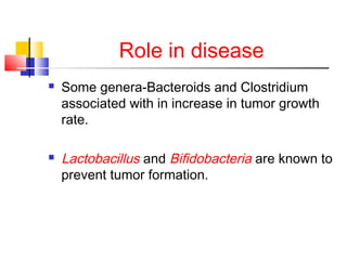 Role in disease
 Some genera-Bacteroids and Clostridium
associated with in increase in tumor growth
rate.
 Lactobacillus and Bifidobacteria are known to
prevent tumor formation.
 