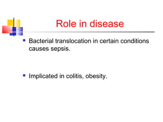 Role in disease
 Bacterial translocation in certain conditions
causes sepsis.
 Implicated in colitis, obesity.
 