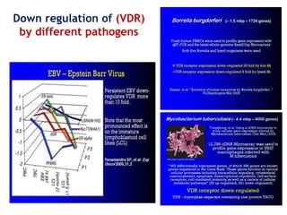 Microbiota, vitamin D receptor VDR and autoimmuity | PPTX