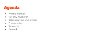 Agenda
● What is micro:bit?
● Not only JavaScript
● Setting up your environment
● Programming
● Resources
● Demo 😱
 