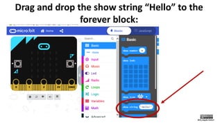 Micro:bit Nametag | PDF