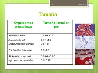 Tamaño
03/07/2017
Curso de Microbiología
18
Organismos
procariotas
Tamaño lineal en
μm
Bacillus subtilis 0,7-0,8x2-3
Escherichia coli 0,3-1х1-6
Staphylococcus aureus 0,5-1,0
Thiobacillus thioparus 0,5х1-3
Rickettsia prowazeki 0,3-0,6x0,8-2
Mycoplasma mycoides 0,1х0,25
 