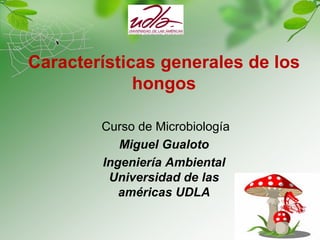 Características generales de los
hongos
Curso de Microbiología
Miguel Gualoto
Ingeniería Ambiental
Universidad de las
américas UDLA
 