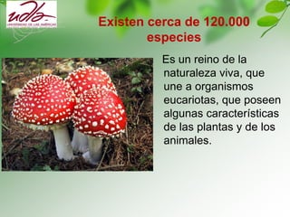 Existen cerca de 120.000
especies
Es un reino de la
naturaleza viva, que
une a organismos
eucariotas, que poseen
algunas características
de las plantas y de los
animales.
 