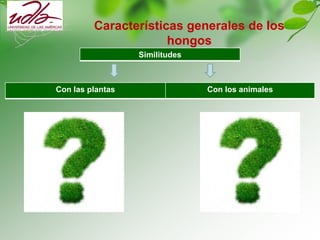 Características generales de los
hongos
Similitudes
Con las plantas Con los animales
 