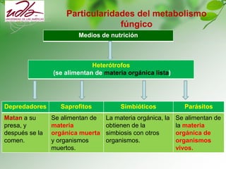 Particularidades del metabolismo
fúngico
Medios de nutrición
Heterótrofos
(se alimentan de materia orgánica lista)
Depredadores Saprofitos Simbióticos Parásitos
Matan a su
presa, y
después se la
comen.
Se alimentan de
materia
orgánica muerta
y organismos
muertos.
La materia orgánica, la
obtienen de la
simbiosis con otros
organismos.
Se alimentan de
la materia
orgánica de
organismos
vivos.
 