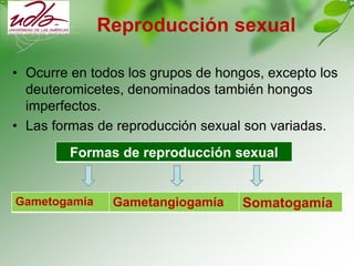 Reproducción sexual
• Ocurre en todos los grupos de hongos, excepto los
deuteromicetes, denominados también hongos
imperfectos.
• Las formas de reproducción sexual son variadas.
Formas de reproducción sexual
Gametogamía Gametangiogamía Somatogamía
 