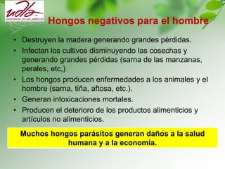 Hongos negativos para el hombre
• Destruyen la madera generando grandes pérdidas.
• Infectan los cultivos disminuyendo las cosechas y
generando grandes pérdidas (sarna de las manzanas,
perales, etc,)
• Los hongos producen enfermedades a los animales y el
hombre (sarna, tiña, aftosa, etc.).
• Generan intoxicaciones mortales.
• Producen el deterioro de los productos alimenticios y
artículos no alimenticios.
Muchos hongos parásitos generan daños a la salud
humana y a la economía.
 