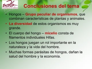 Conclusiones del tema
• Hongos – Grupo peculiar de organismos, que
combinan características de plantas y animales.
• La diversidad de estos organismos es muy
grande.
• El cuerpo del hongo – micelio consta de
filamentos individuales Hifas.
• Los hongos juegan un rol importante en la
naturaleza y la vida del hombre.
• Muchas formas parásitas de hongos, dañan la
salud del hombre y la economía.
 