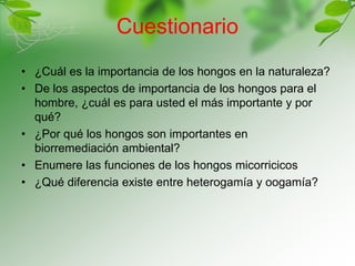 Cuestionario
• ¿Cuál es la importancia de los hongos en la naturaleza?
• De los aspectos de importancia de los hongos para el
hombre, ¿cuál es para usted el más importante y por
qué?
• ¿Por qué los hongos son importantes en
biorremediación ambiental?
• Enumere las funciones de los hongos micorricicos
• ¿Qué diferencia existe entre heterogamía y oogamía?
 
