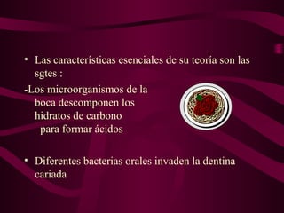 • Las características esenciales de su teoría son las
sgtes :
-Los microorganismos de la
boca descomponen los
hidratos de carbono
para formar ácidos
• Diferentes bacterias orales invaden la dentina
cariada

 