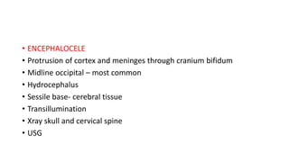 • ENCEPHALOCELE
• Protrusion of cortex and meninges through cranium bifidum
• Midline occipital – most common
• Hydrocephalus
• Sessile base- cerebral tissue
• Transillumination
• Xray skull and cervical spine
• USG
 