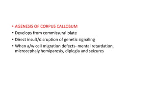 • AGENESIS OF CORPUS CALLOSUM
• Develops from commissural plate
• Direct insult/disruption of genetic signaling
• When a/w cell migration defects- mental retardation,
microcephaly,hemiparesis, diplegia and seizures
 