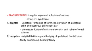 • PLAGIOCEPHALY- irregular asymmetric fusion of sutures
-Chotzens syndrome
A) Frontal - unilateral flattening of forehead,elevation of ipsilateral
orbit and eyebrow, prominent ear
- premature fusion of unilateral coronal and sphenofrontal
sutures
B) occipital- occipital flattening and bulging of ipsilateral frontal bone
-faulty positioning during infancy
 
