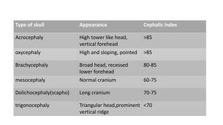 Type of skull Appearance Cephalic index
Acrocephaly High tower like head,
vertical forehead
>85
oxycephaly High and sloping, pointed >85
Brachycephaly Broad head, recessed
lower forehead
80-85
mesocephaly Normal cranium 60-75
Dolichocephaly(scapho) Long cranium 70-75
trigonocephaly Triangular head,prominent
vertical ridge
<70
 