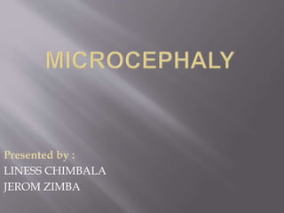 Presented by :
LINESS CHIMBALA
JEROM ZIMBA
 